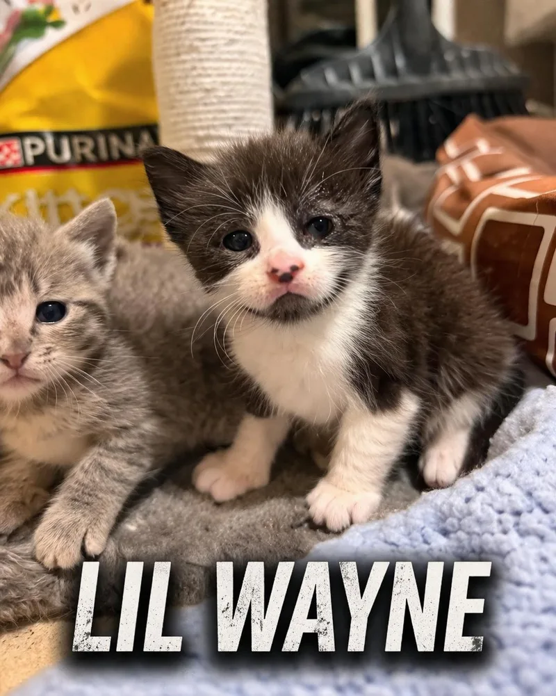 Lil Wayne