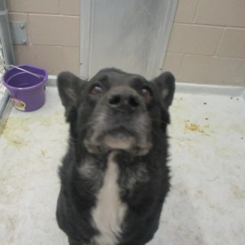 Walter thumbnail 3