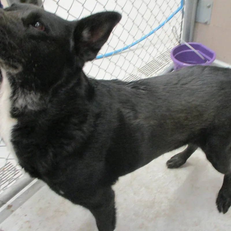 Walter thumbnail 4