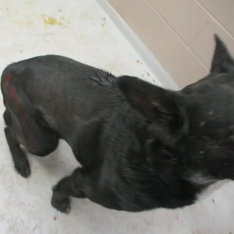 Walter thumbnail 6