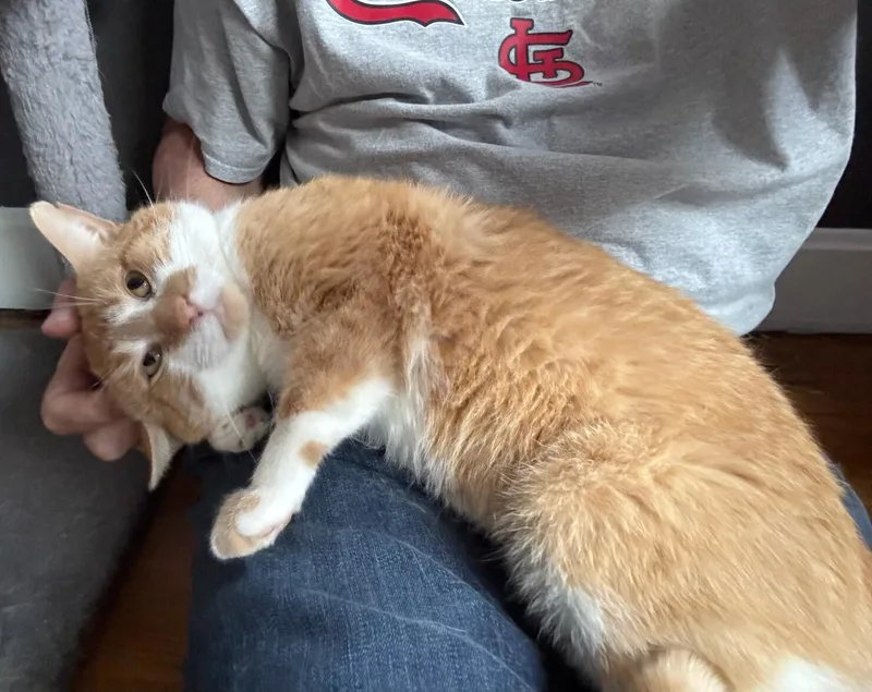 Erik