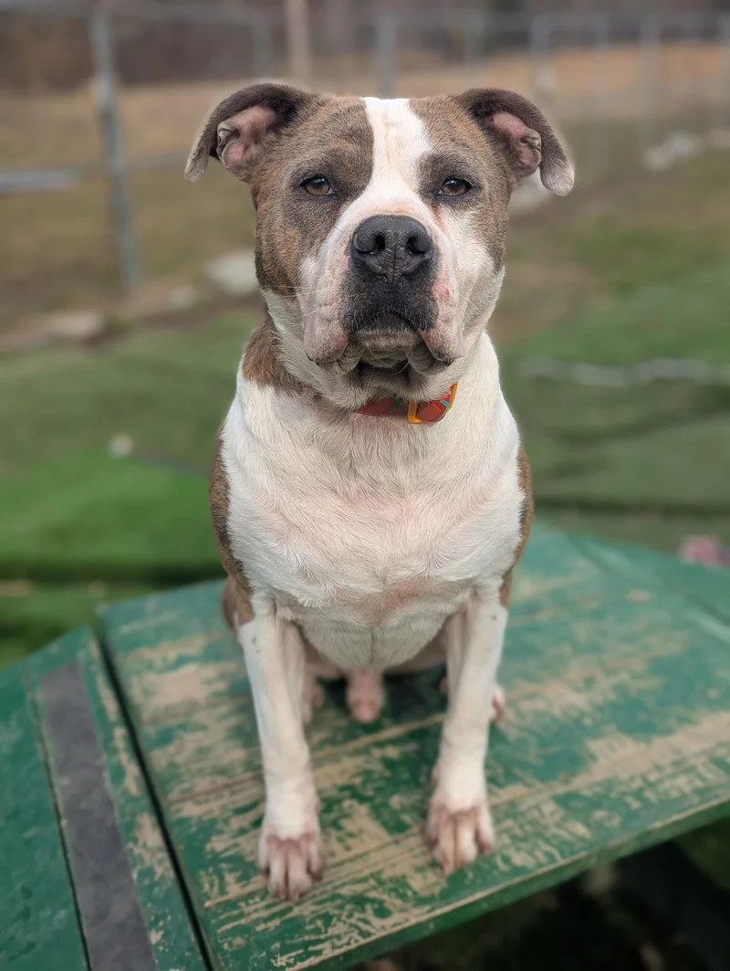 Osbourne thumbnail 2