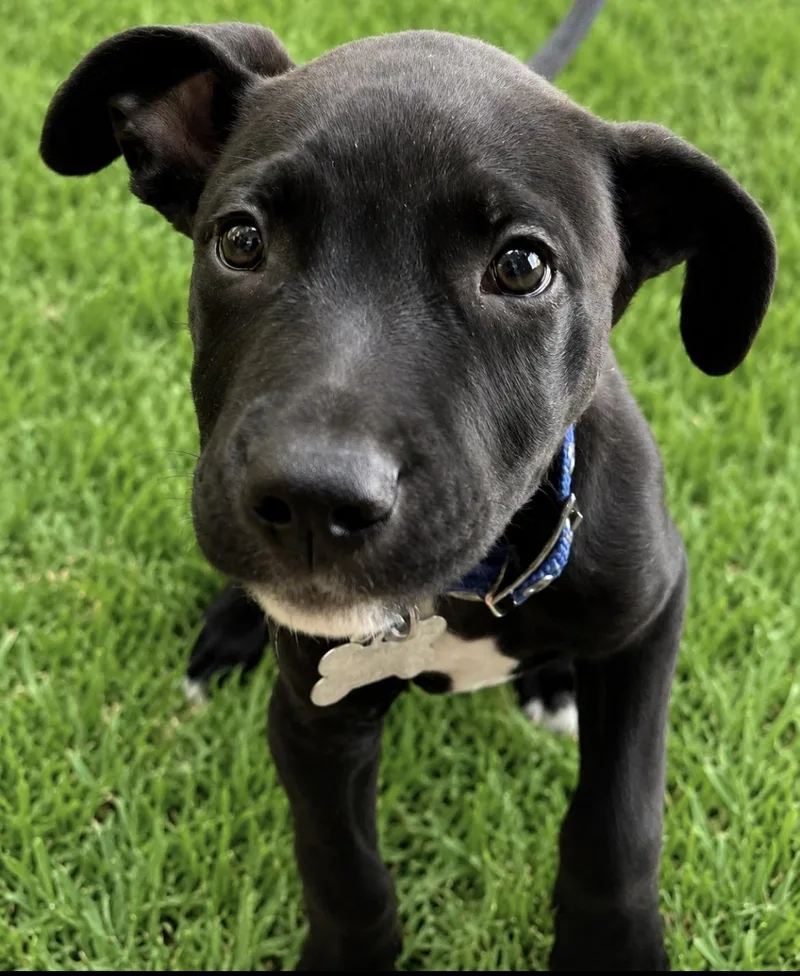 Baby Ollie thumbnail 2