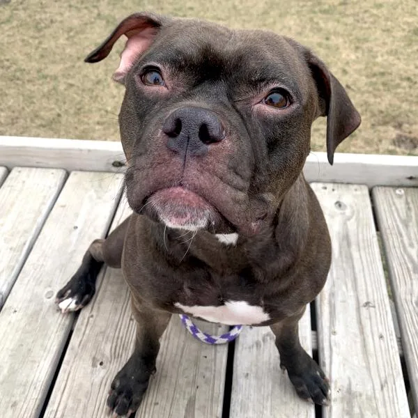 Truth Ann thumbnail 2