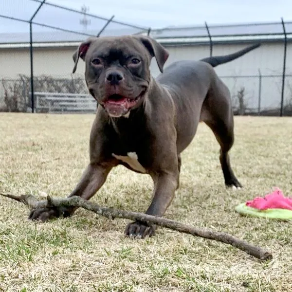 Truth Ann thumbnail 3