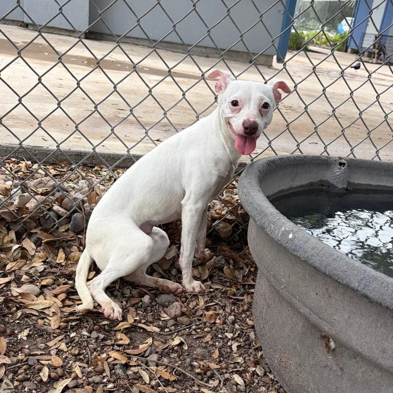 Odette Gch thumbnail 2