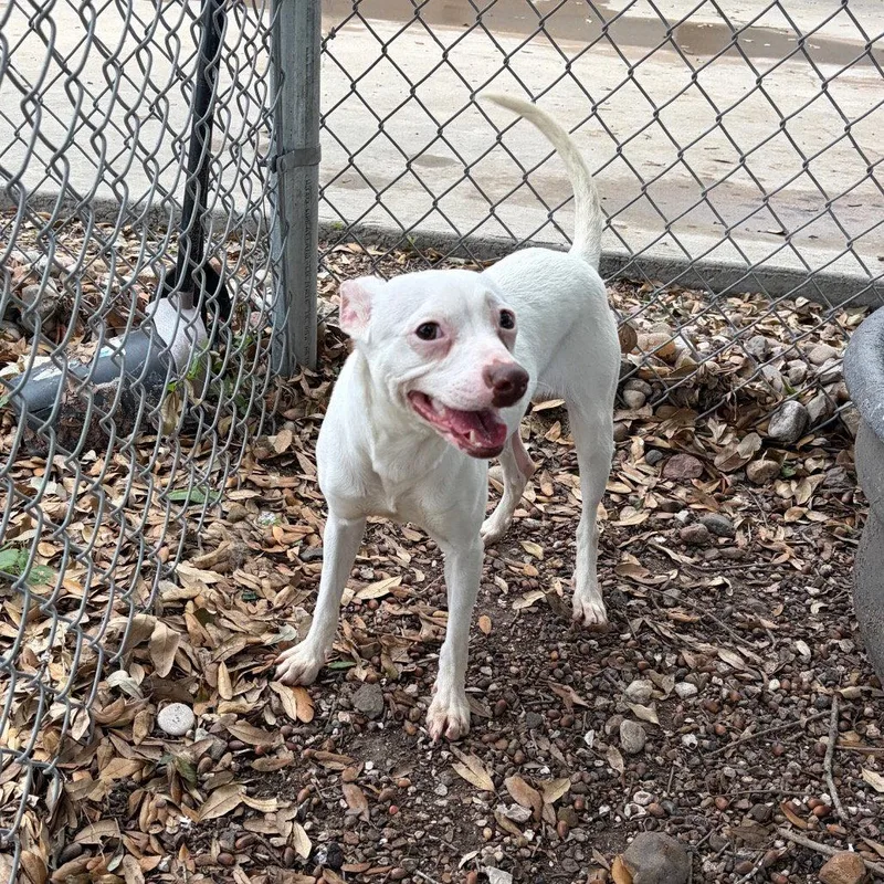 Odette Gch thumbnail 3