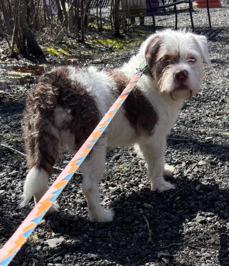 Lady Luck thumbnail 2