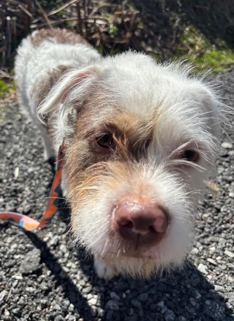 Lady Luck thumbnail 4