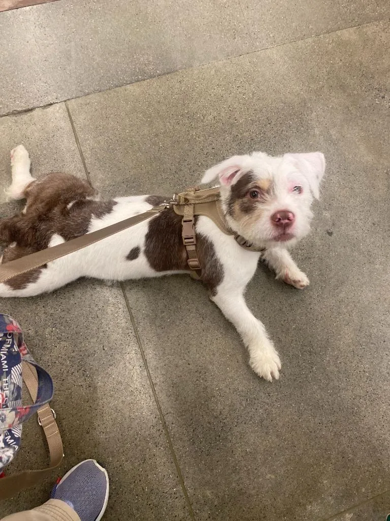 Lady Luck thumbnail 5