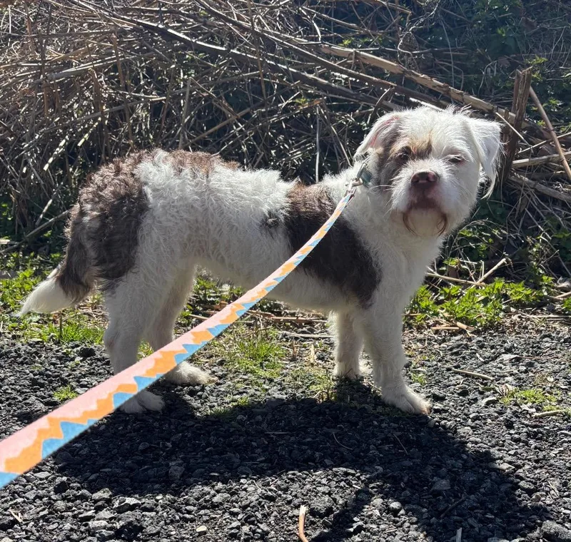 Lady Luck thumbnail 6