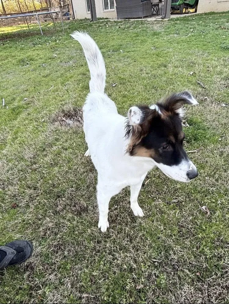 Yenci