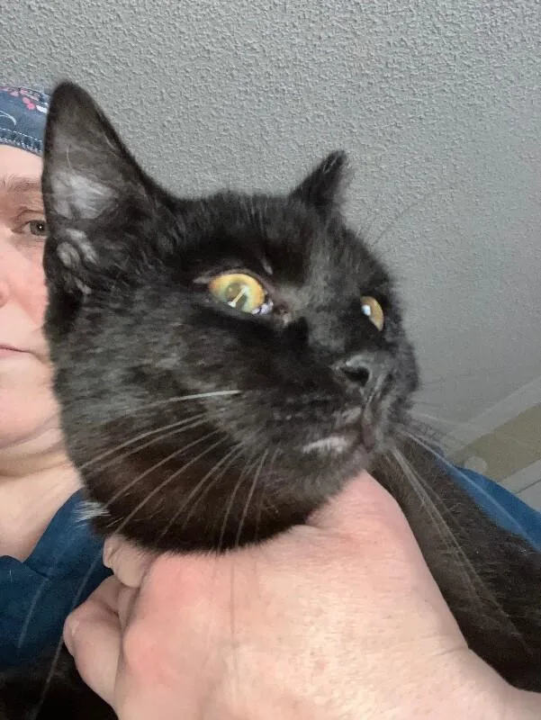 Salem thumbnail 3