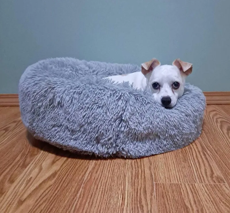 Casper
