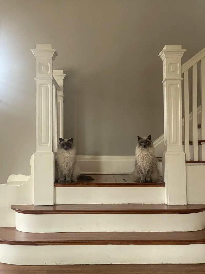 Smokey & Bandit: bonded thumbnail 3