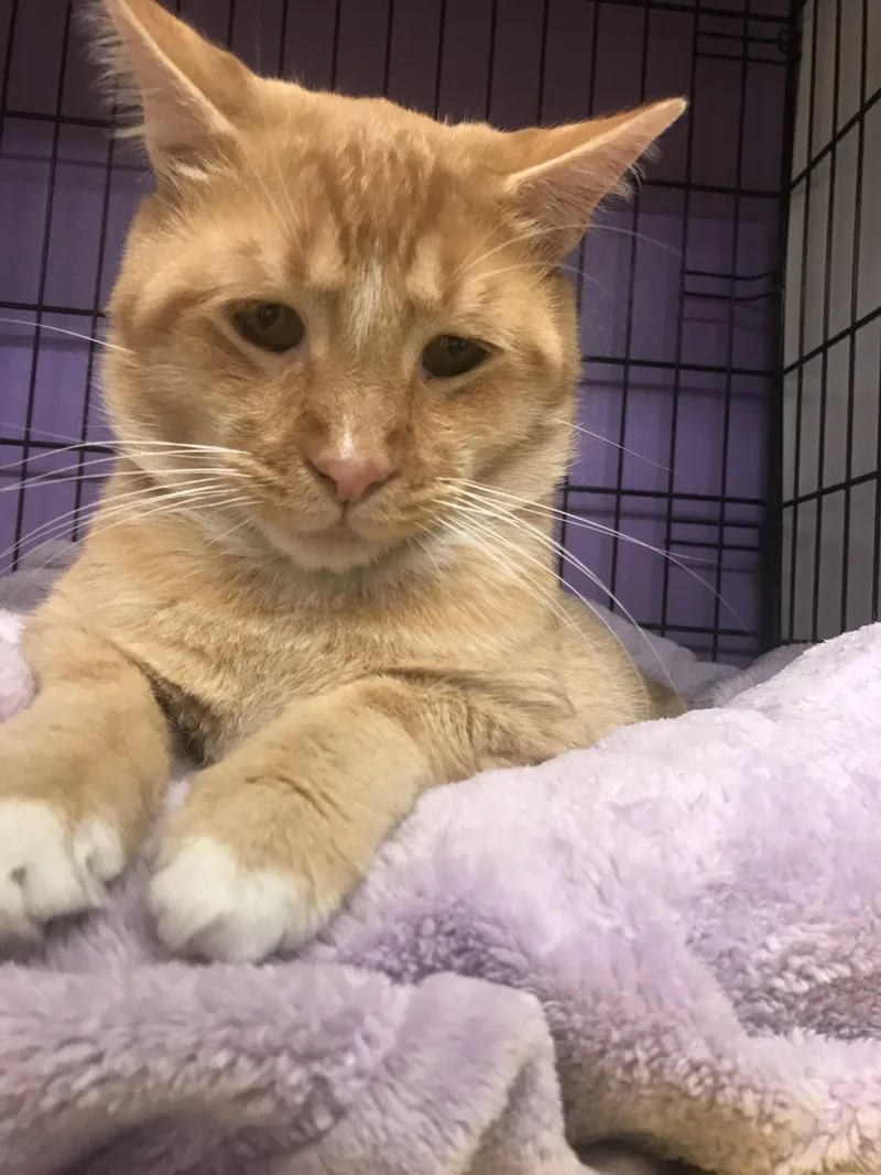 Sandysammy thumbnail 3