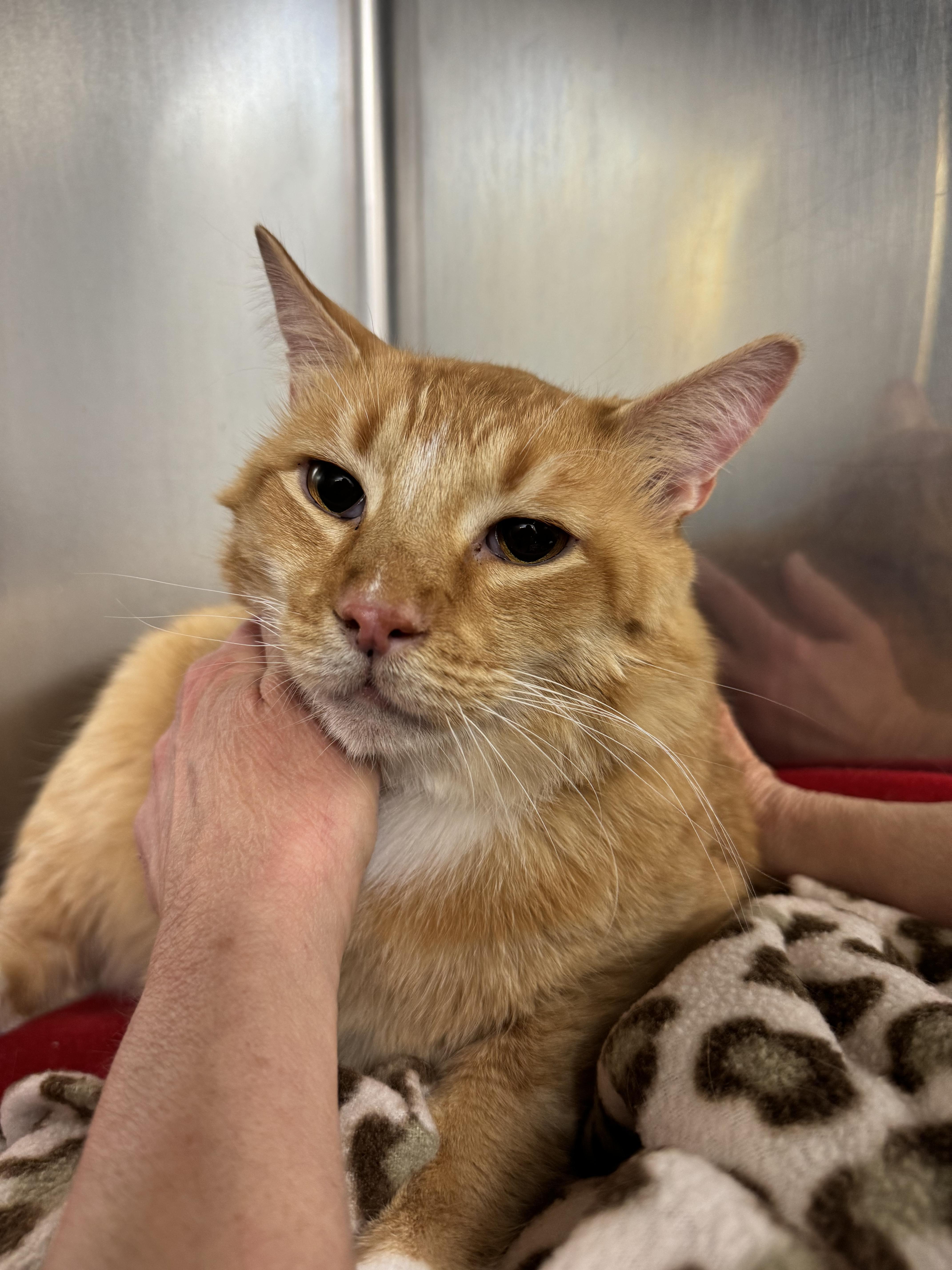 Sandysammy thumbnail 5