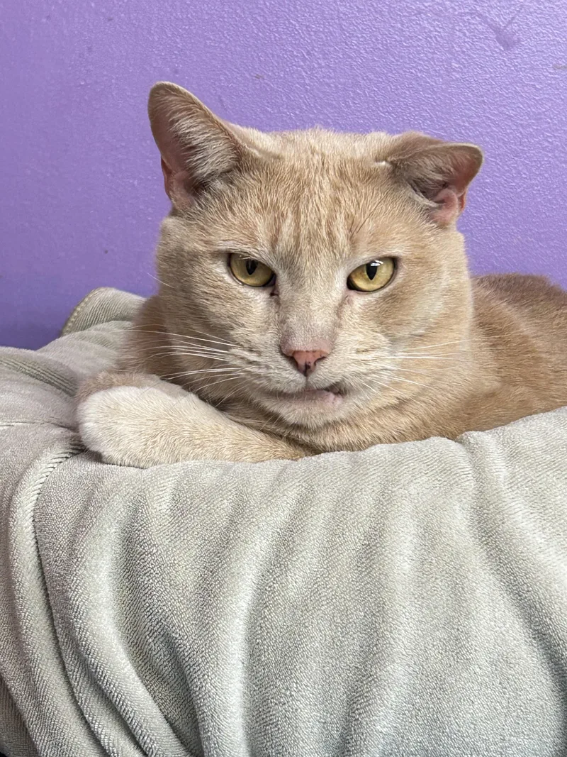 Sandysammy thumbnail 6