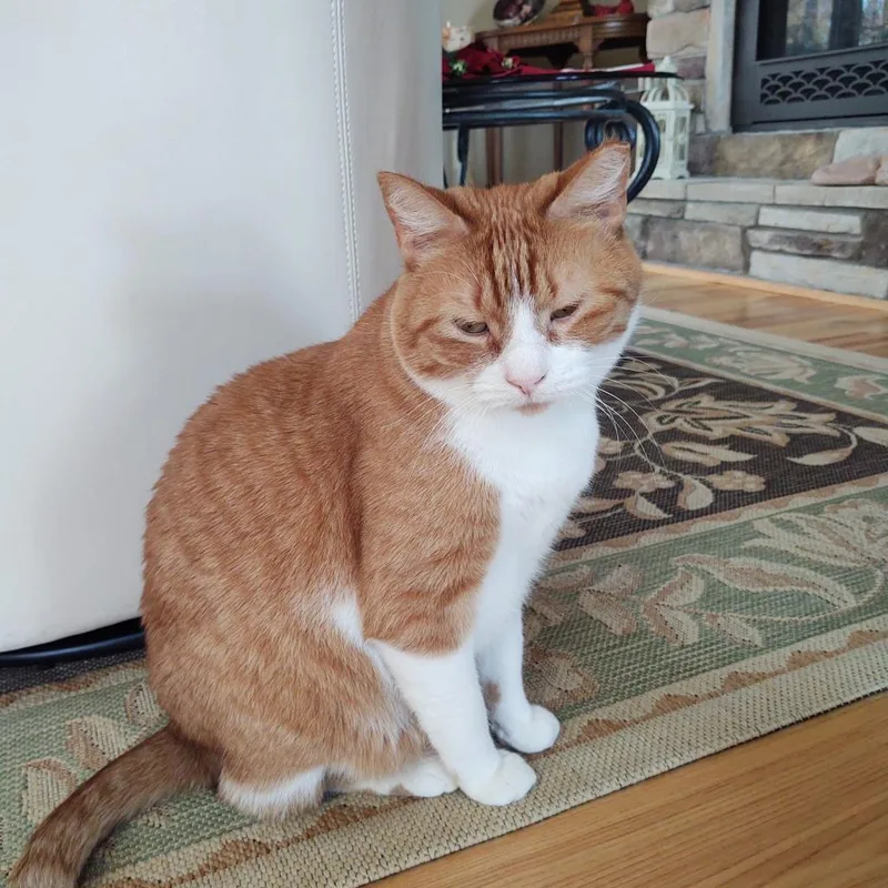 Bobby Lee thumbnail 5