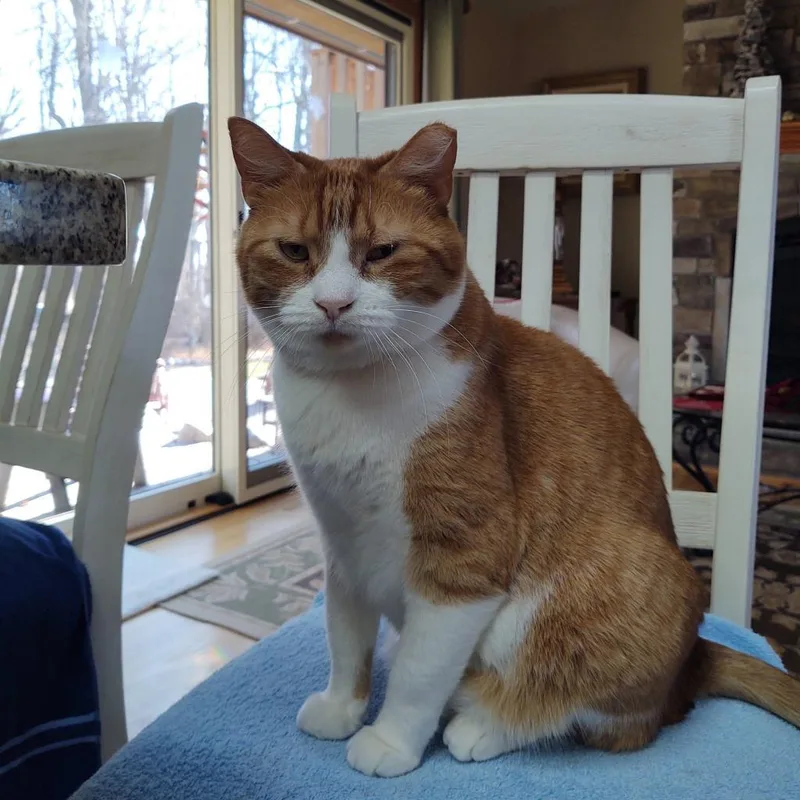 Bobby Lee thumbnail 6