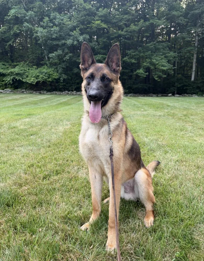 Remington Located in Connecticut thumbnail 2