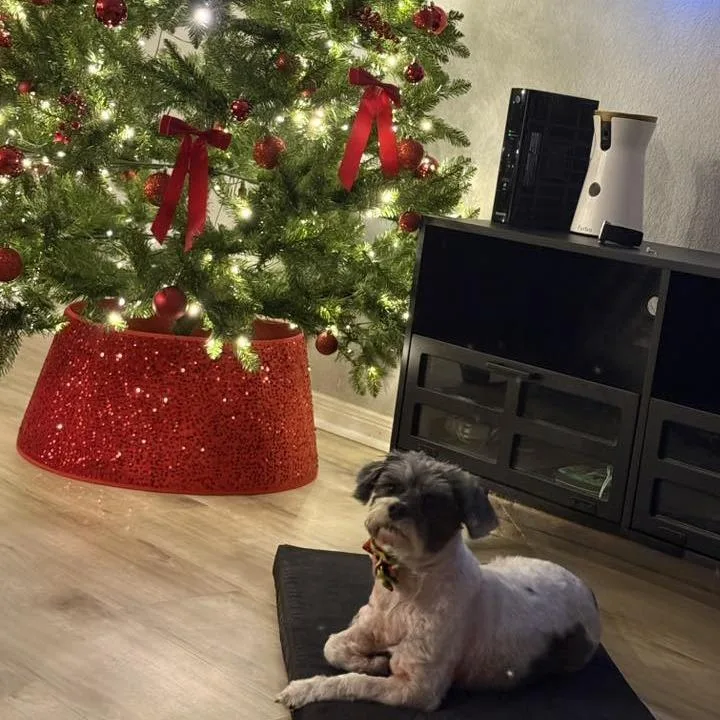 Winnie Sue thumbnail 2