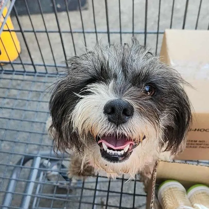 Winnie Sue thumbnail 3