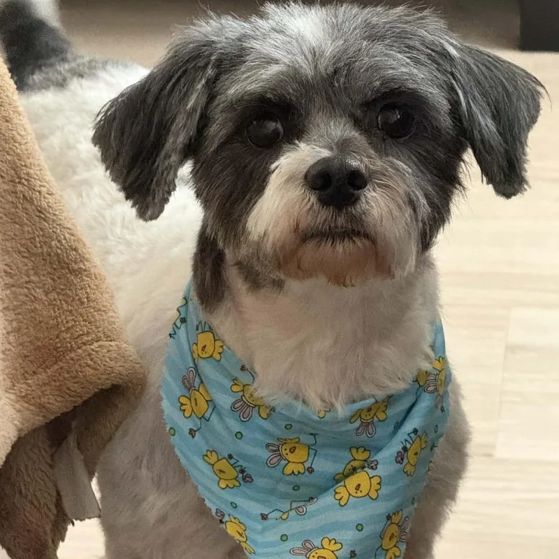 Winnie Sue thumbnail 4