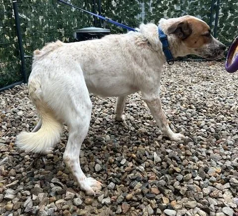 Copen  Ma thumbnail 2