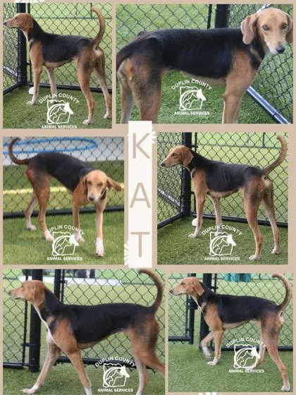 Kat thumbnail 3
