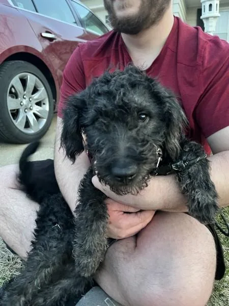 Orion's Belt thumbnail 4