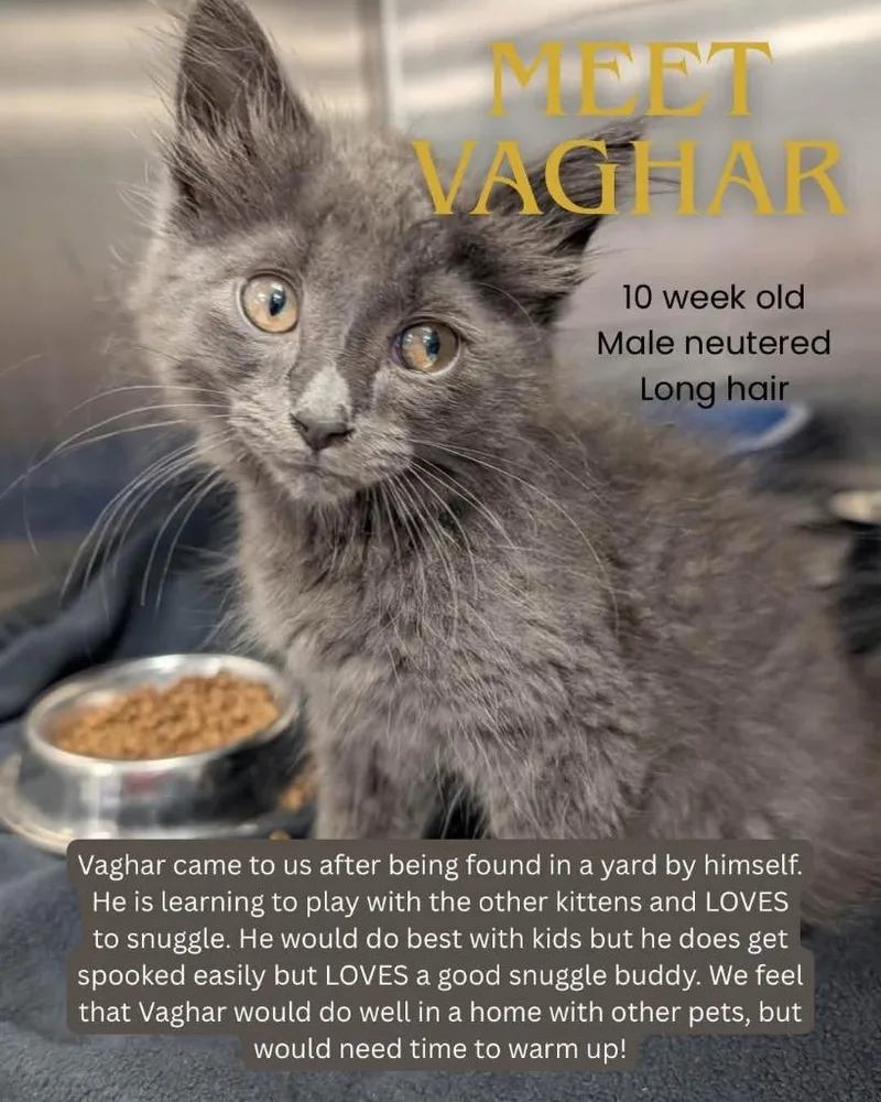 Vaghar PRAC