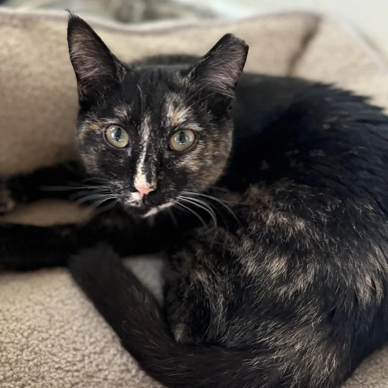 Skittles thumbnail 6