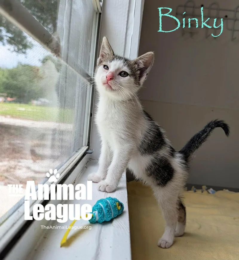 Binky thumbnail 3