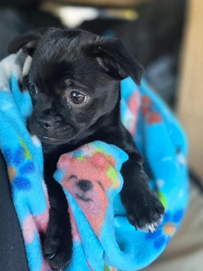 Sabrina thumbnail 2