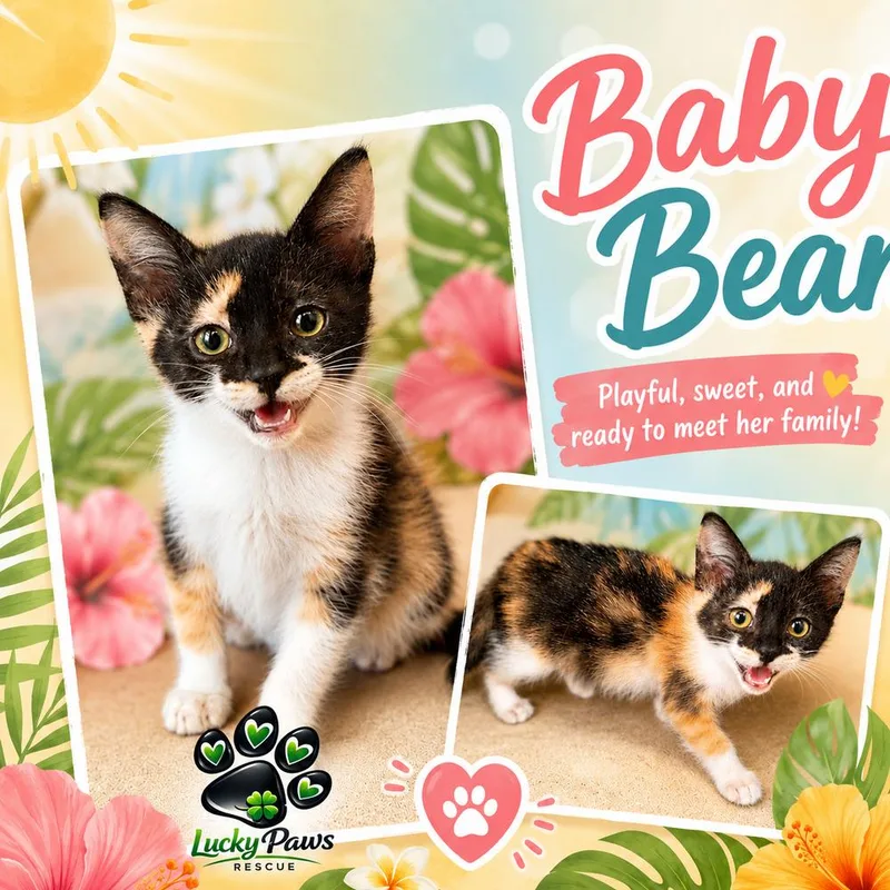 Baby Beans thumbnail 2