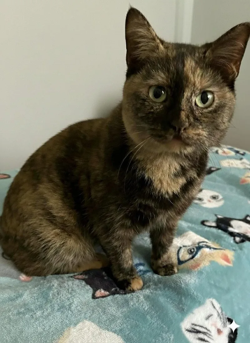 Tess And Zoey thumbnail 6