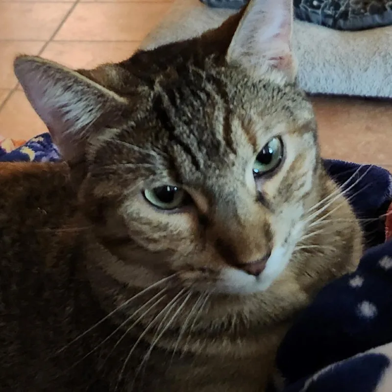 Skittles thumbnail 2