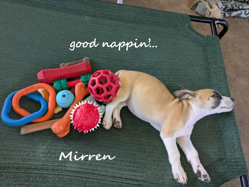 Mirren