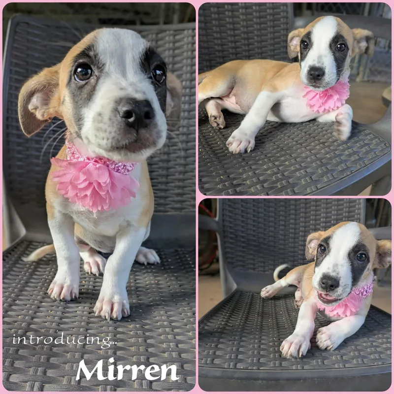 Mirren thumbnail 3