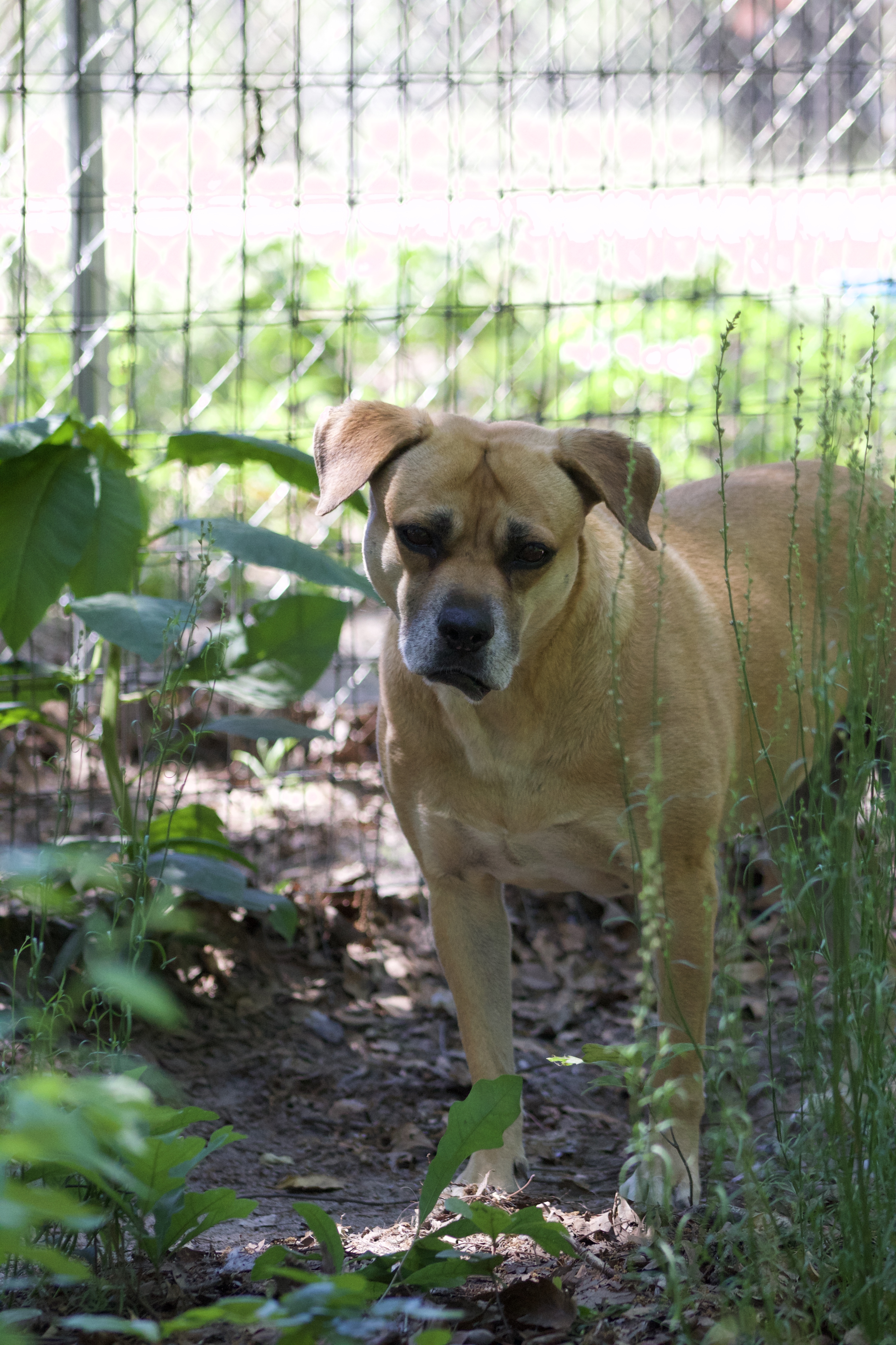 Valentine thumbnail 2