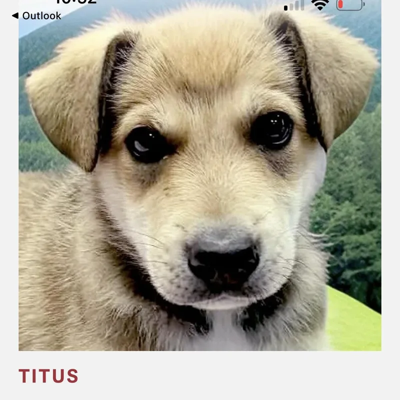 Titus thumbnail 2