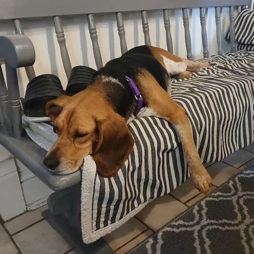 Stephanie thumbnail 2