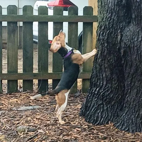 Stephanie thumbnail 3