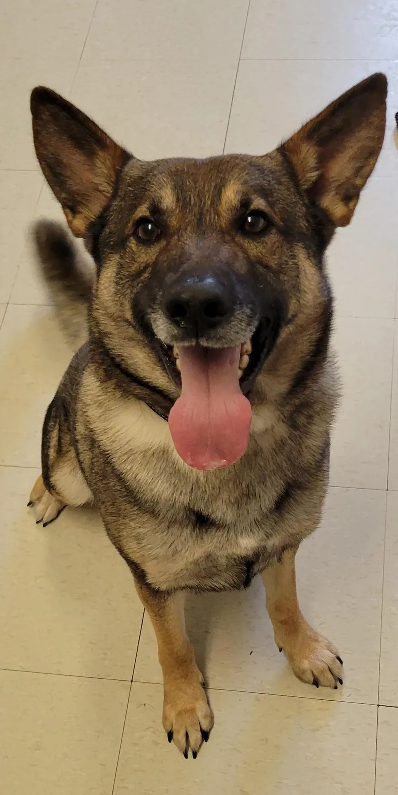 Snack Pack thumbnail 2