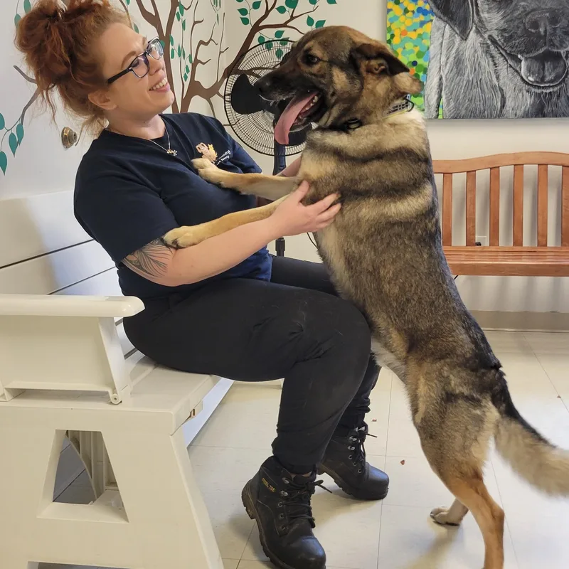 Snack Pack thumbnail 3