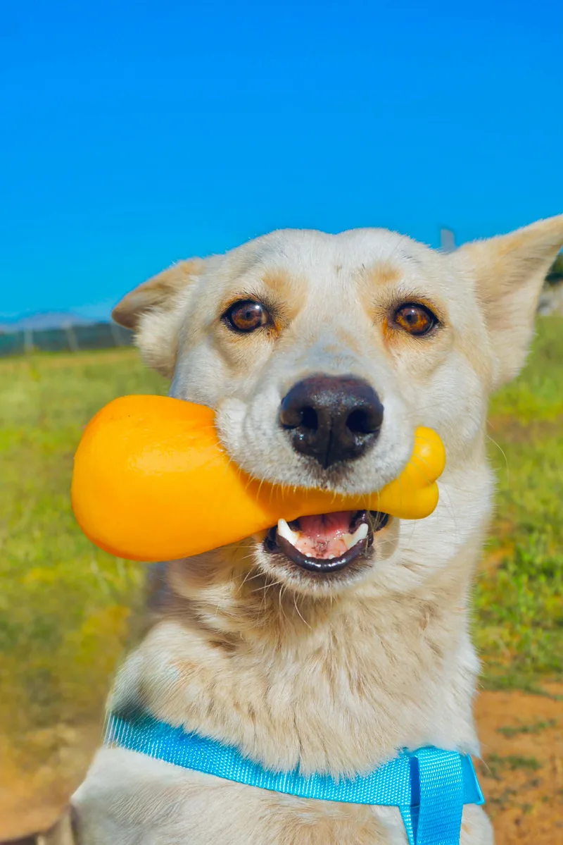 White Moka thumbnail 2