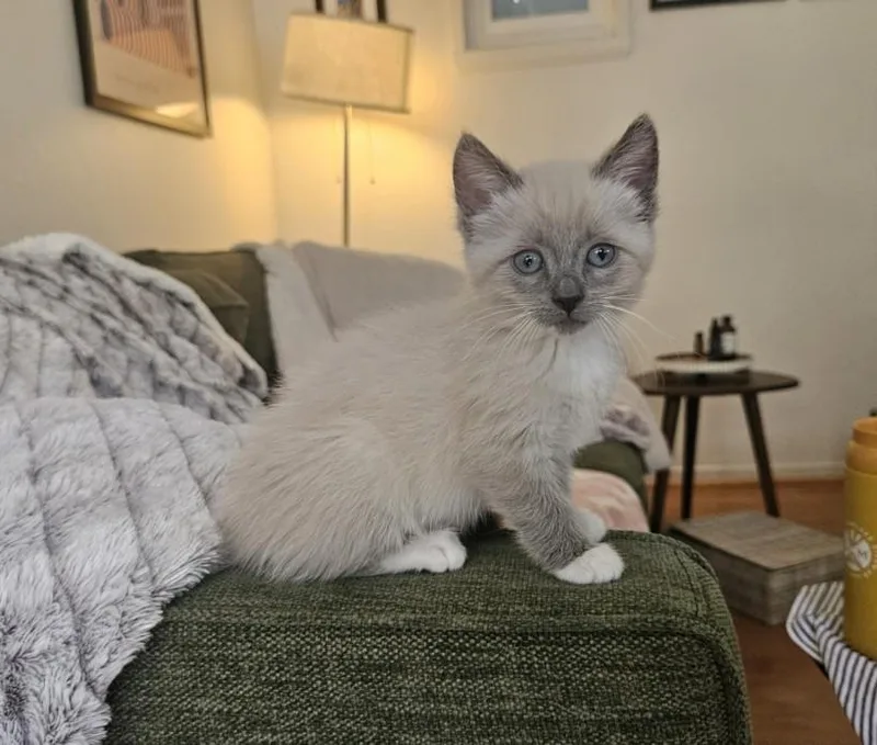 Margot