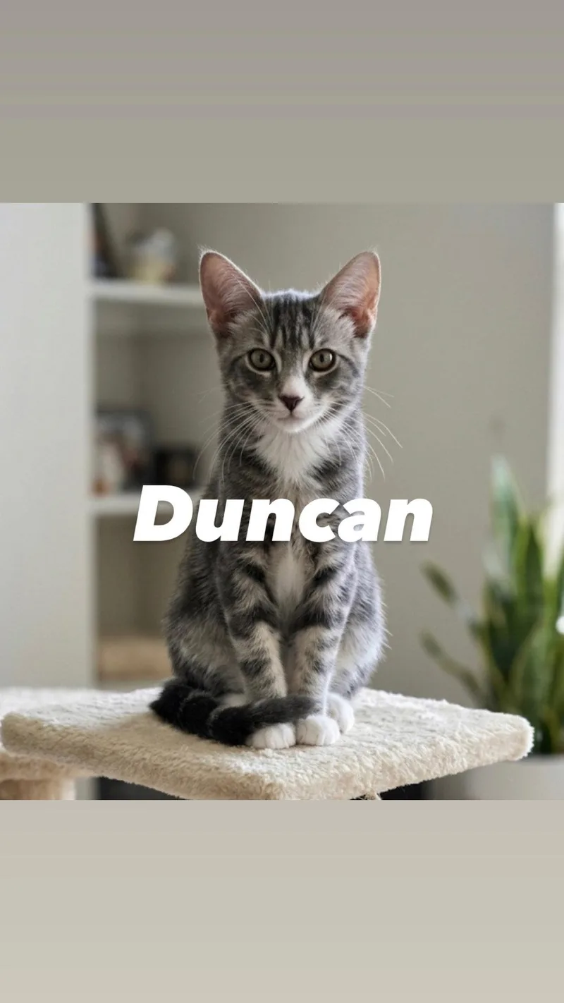 Duncan thumbnail 3