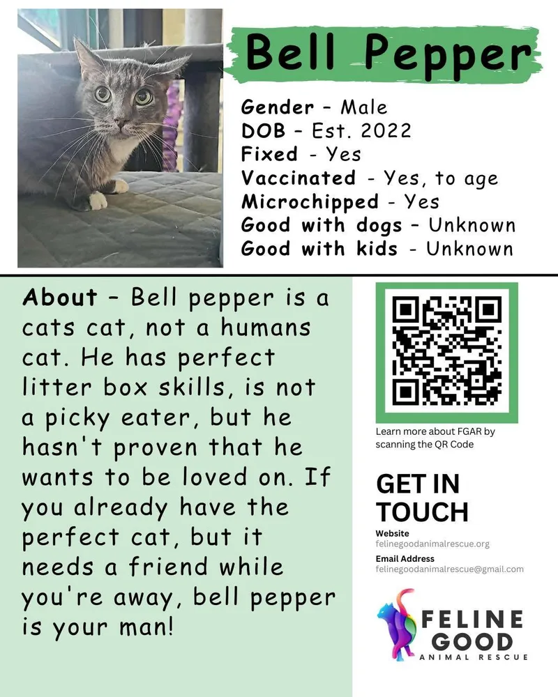 Bell Pepper